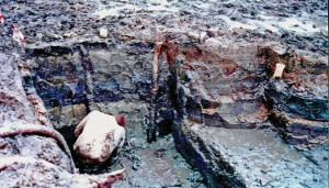 Een opgraving bij Emmeloord toont aan dat de weervisserij al duizenden jaren geleden in deze omgeving werd gebruikt