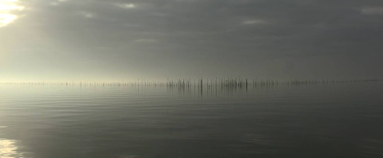 Filmpremière: Cor & Henk, weervissers van de Oosterschelde