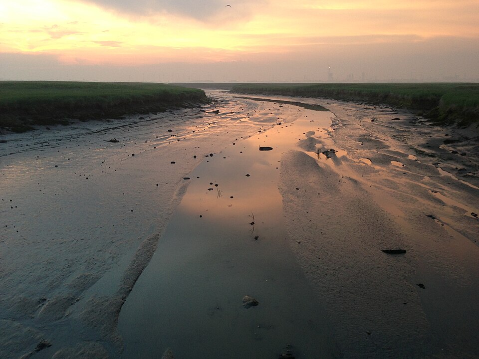 Eén van de vele geulen uit het Verdronken Land van Saeftinghe bij laagwater en een opkomende zon.
