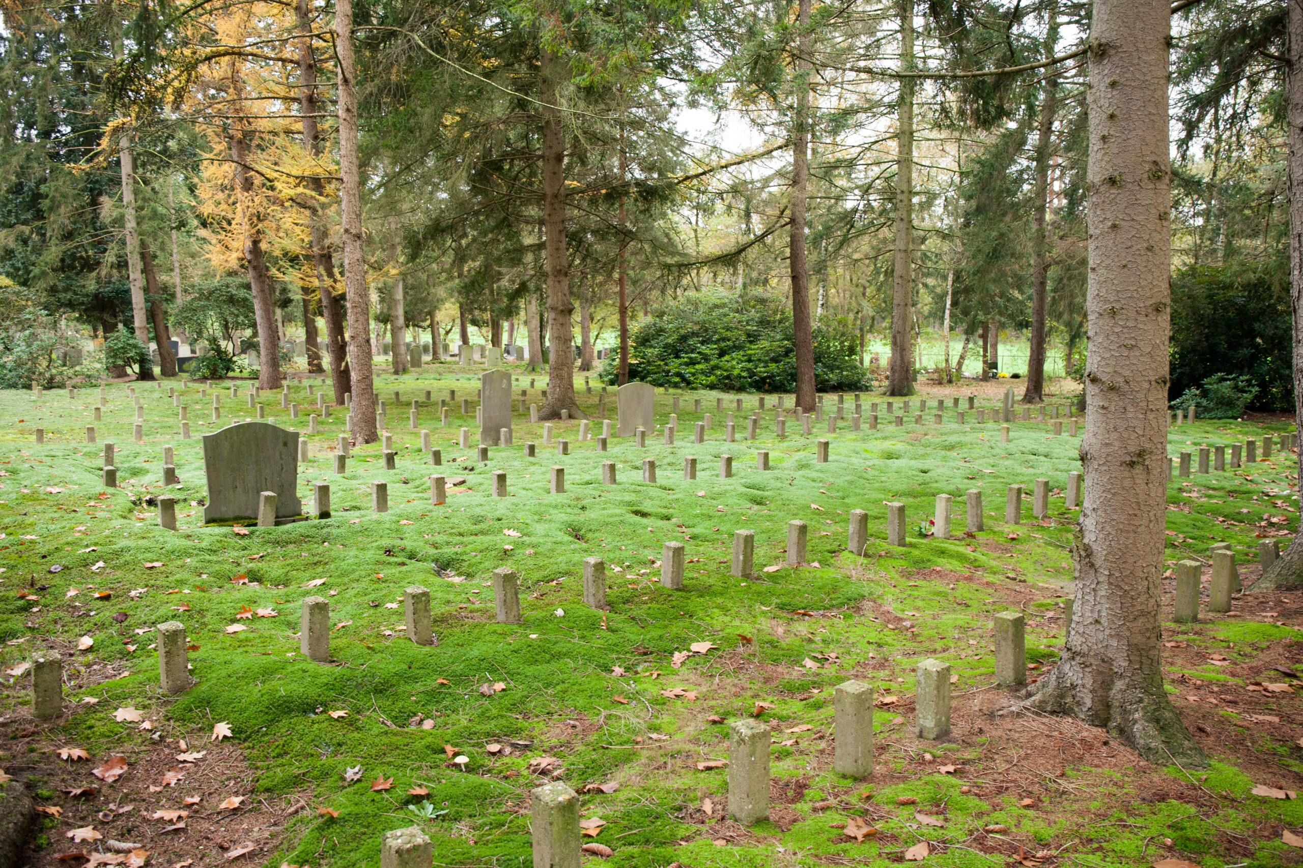 Begraafplaats Vrederust 20241110