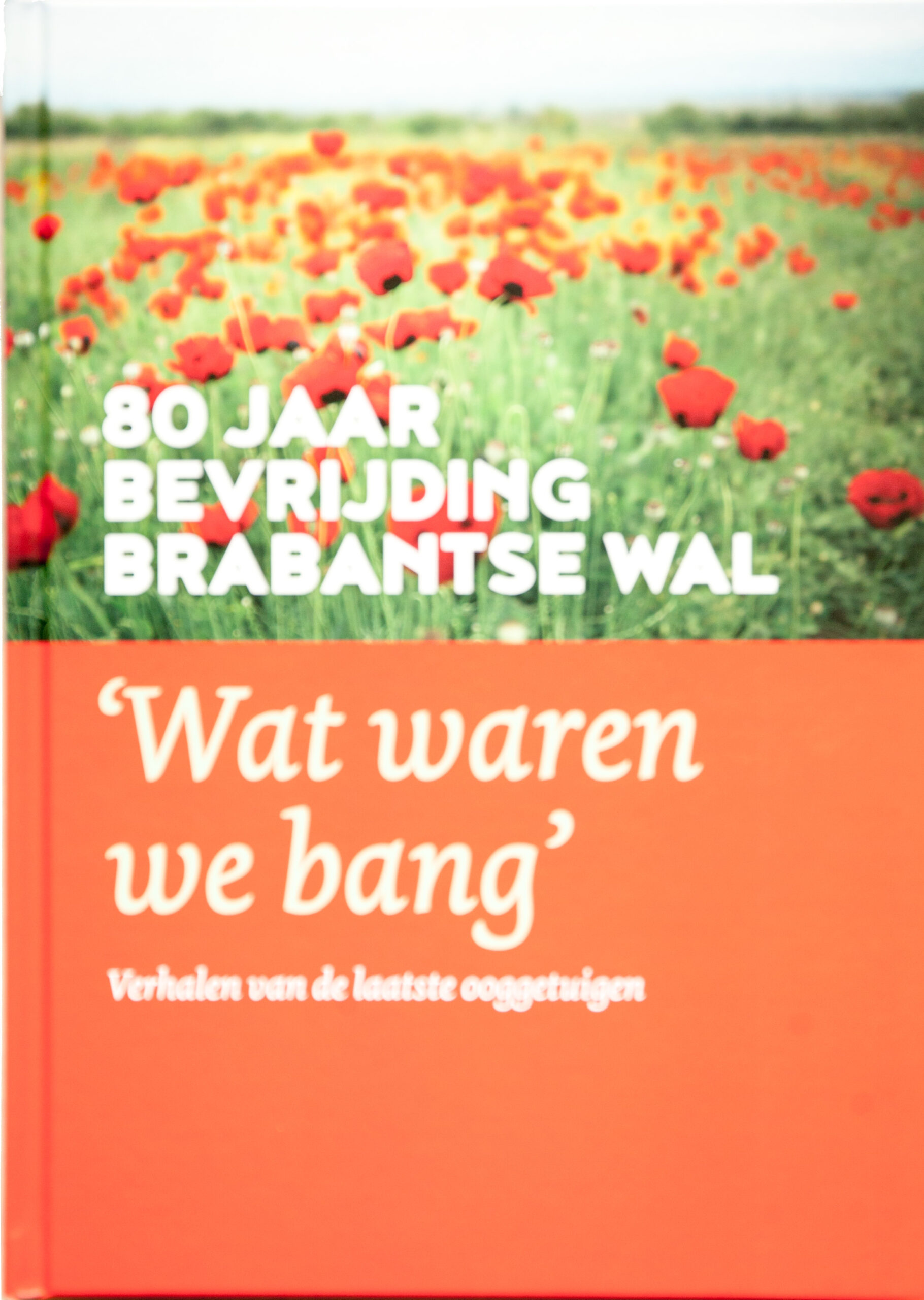 Stem op deze vrijwilligers