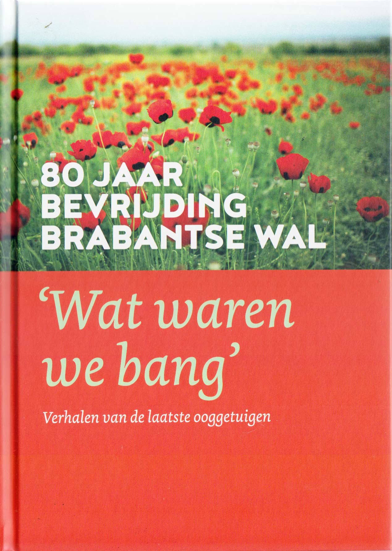 Stem op deze vrijwilligers