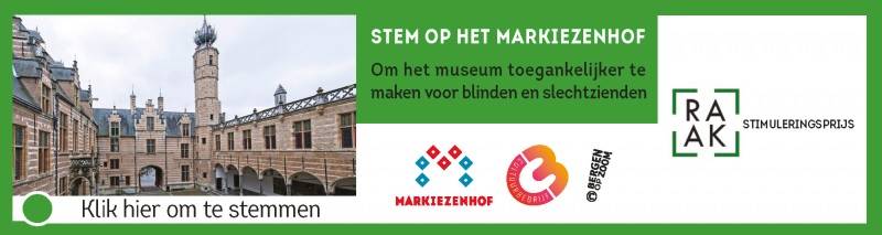 raak-stimuleringsprijs-banner